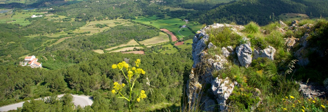 Die grüne unberührte Landschaft Menorcas.